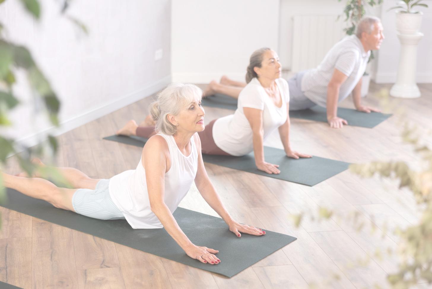 Innovative meditation practice environment
